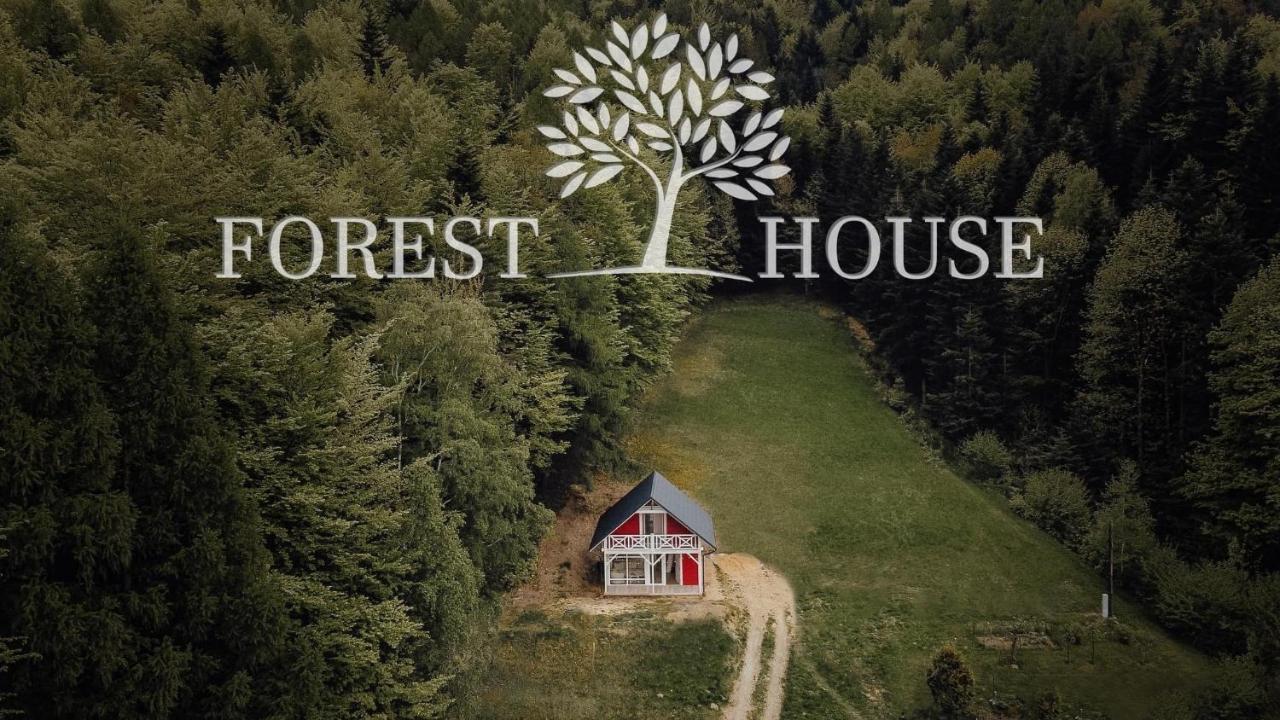 Forest House Тарганіце Екстер'єр фото
