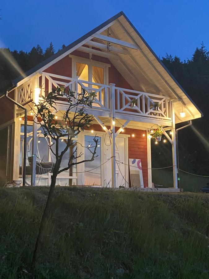 Forest House Тарганіце Екстер'єр фото