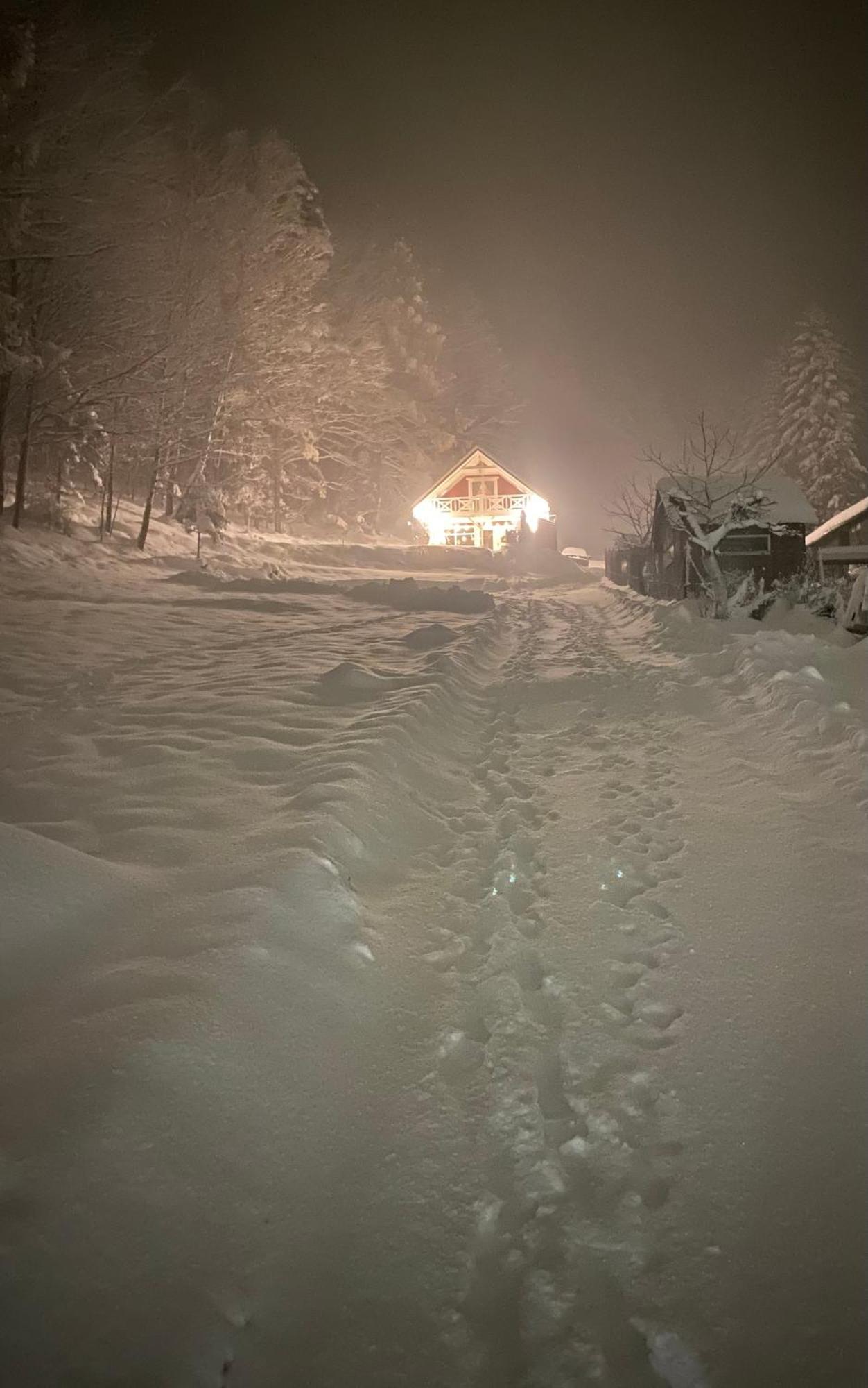 Forest House Тарганіце Екстер'єр фото