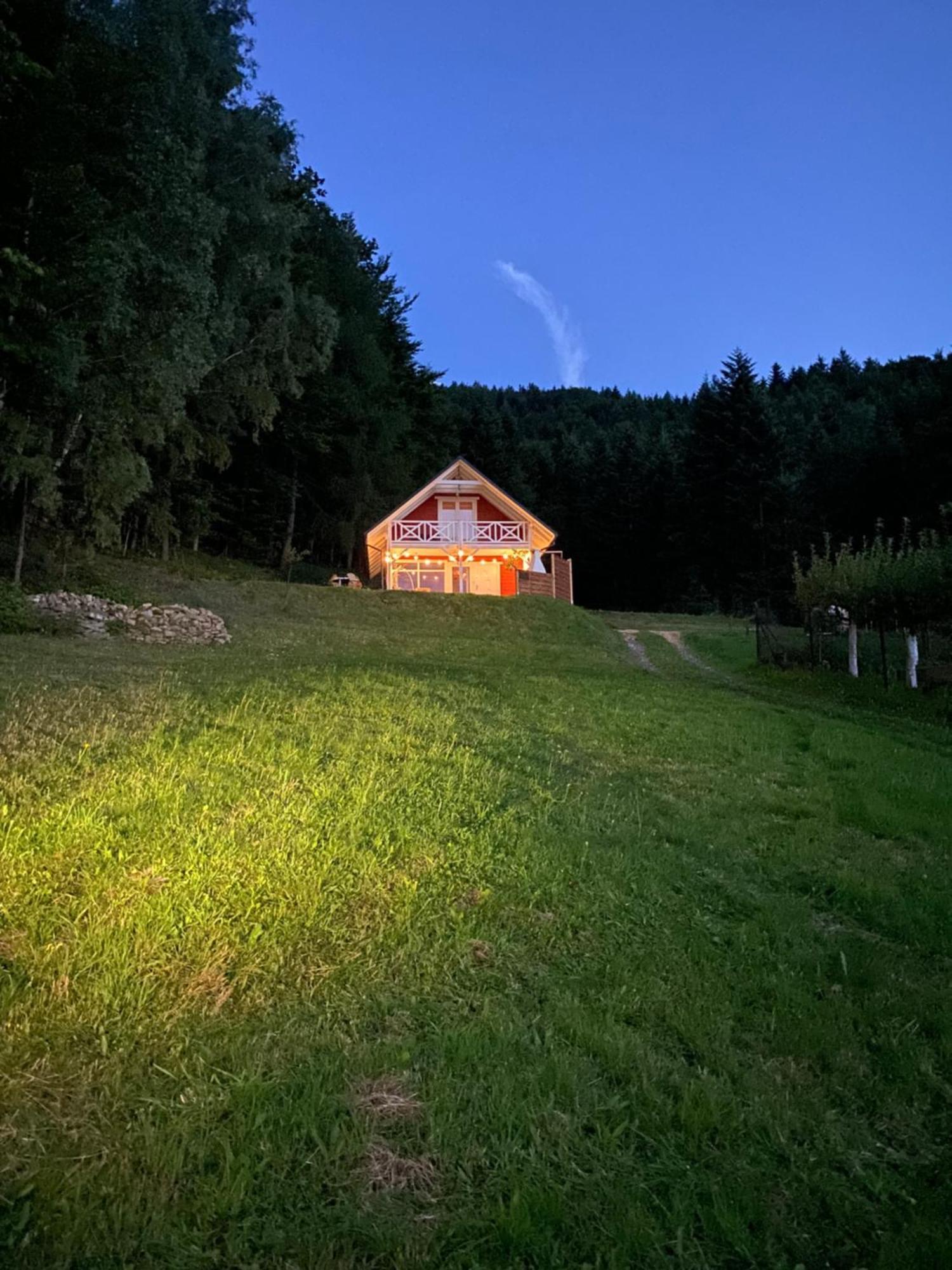 Forest House Тарганіце Екстер'єр фото