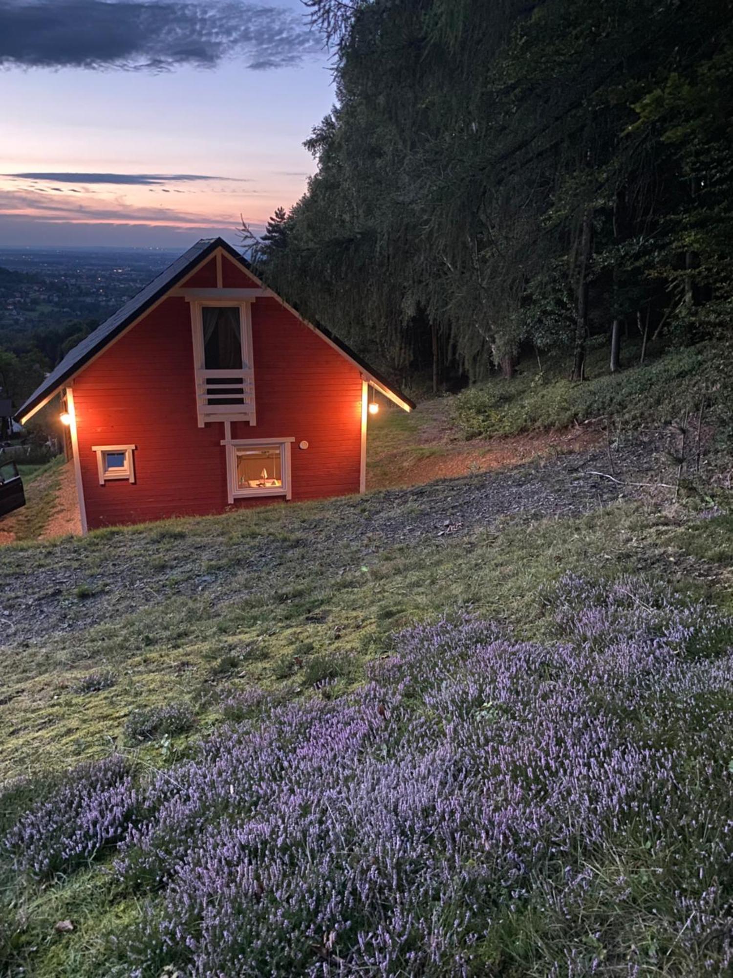 Forest House Тарганіце Екстер'єр фото
